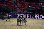 Quadrille - 00874